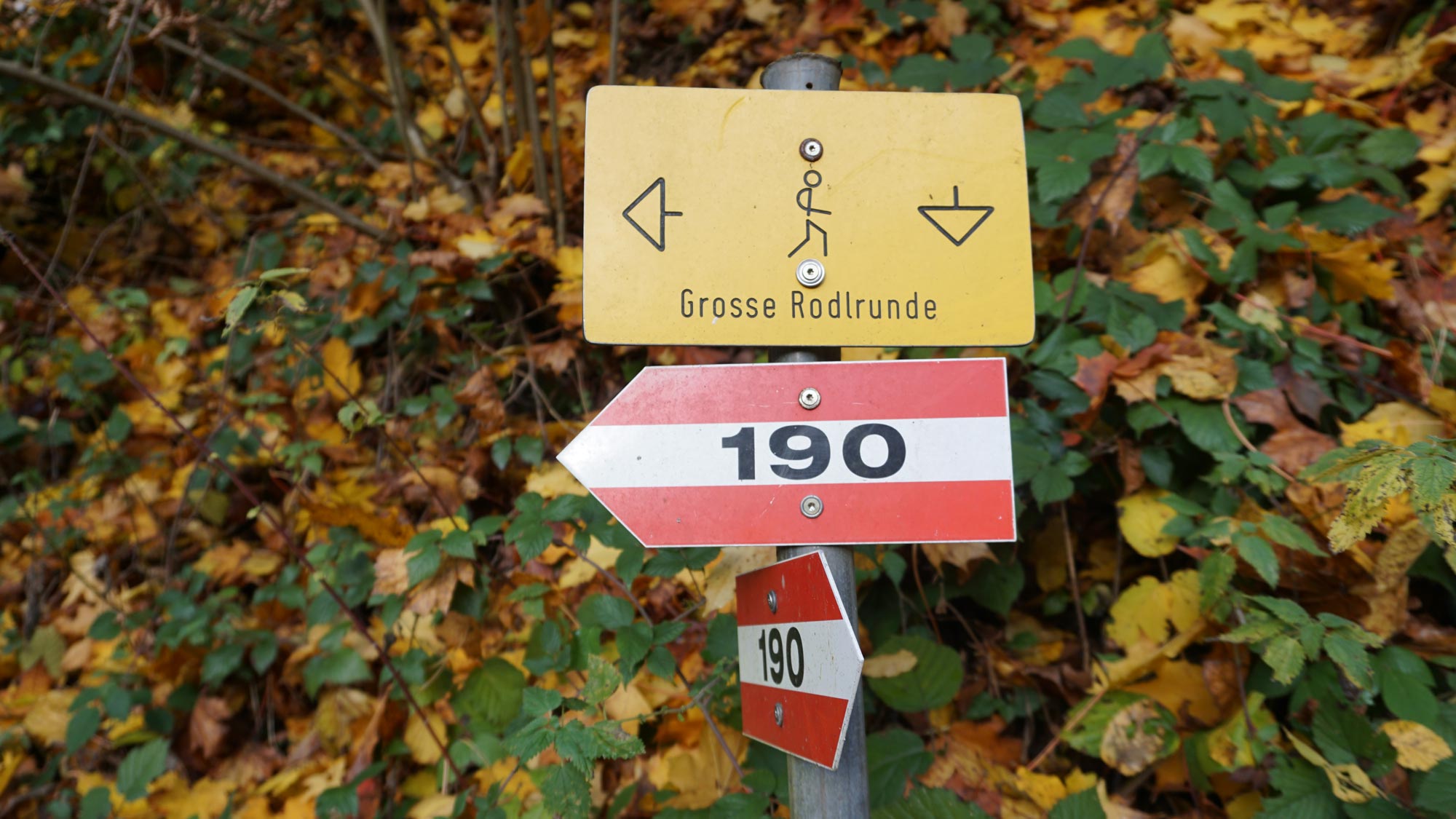 Rodltal-huetten_Oberoesterreich_Ferienhaus_Freizeit_grosse-Rodlrunde