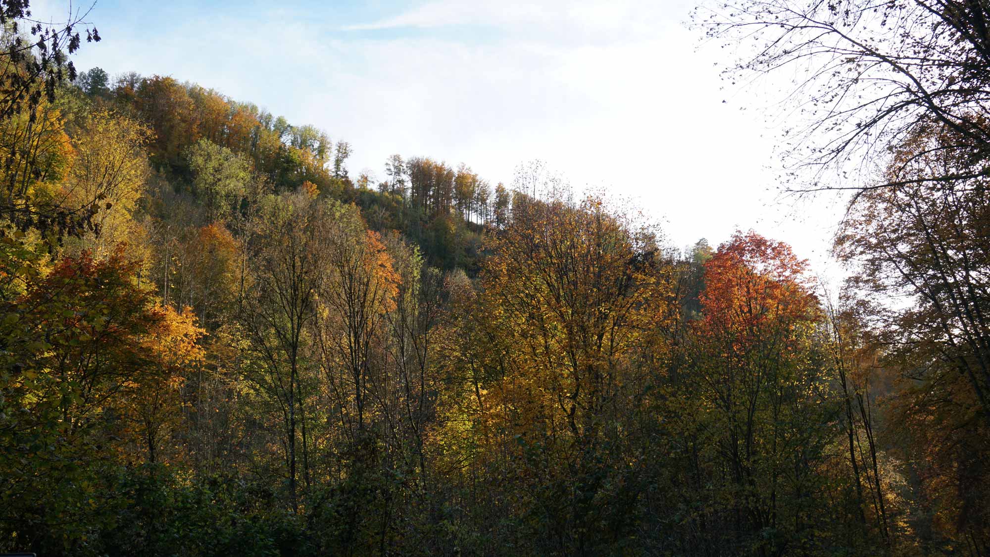Rodltal-huetten_Oberoesterreich_Ferienhaus_Herbst