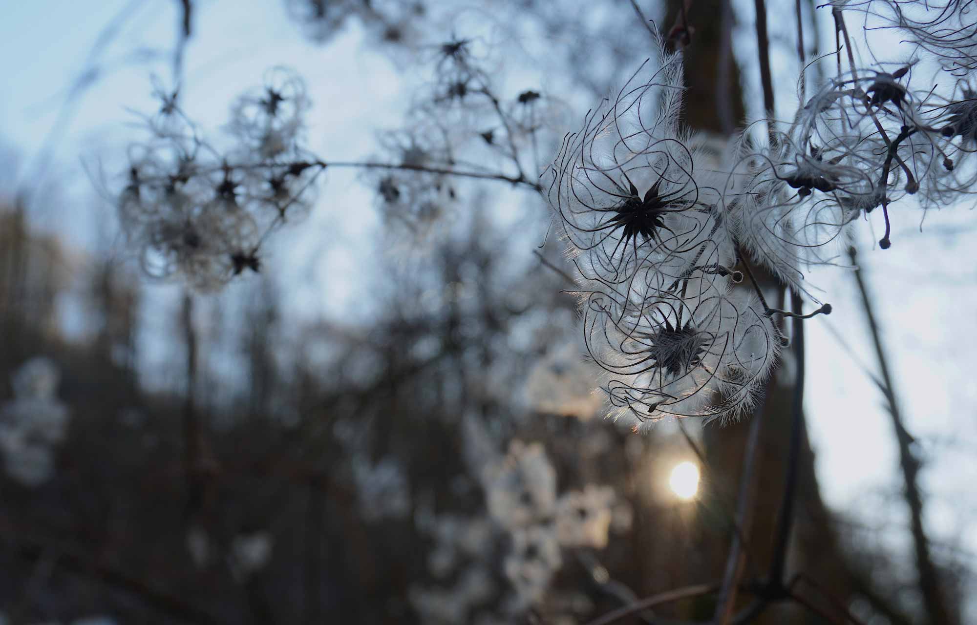 Rodltal-huetten_Oberoesterreich_Ferienhaus_Natur