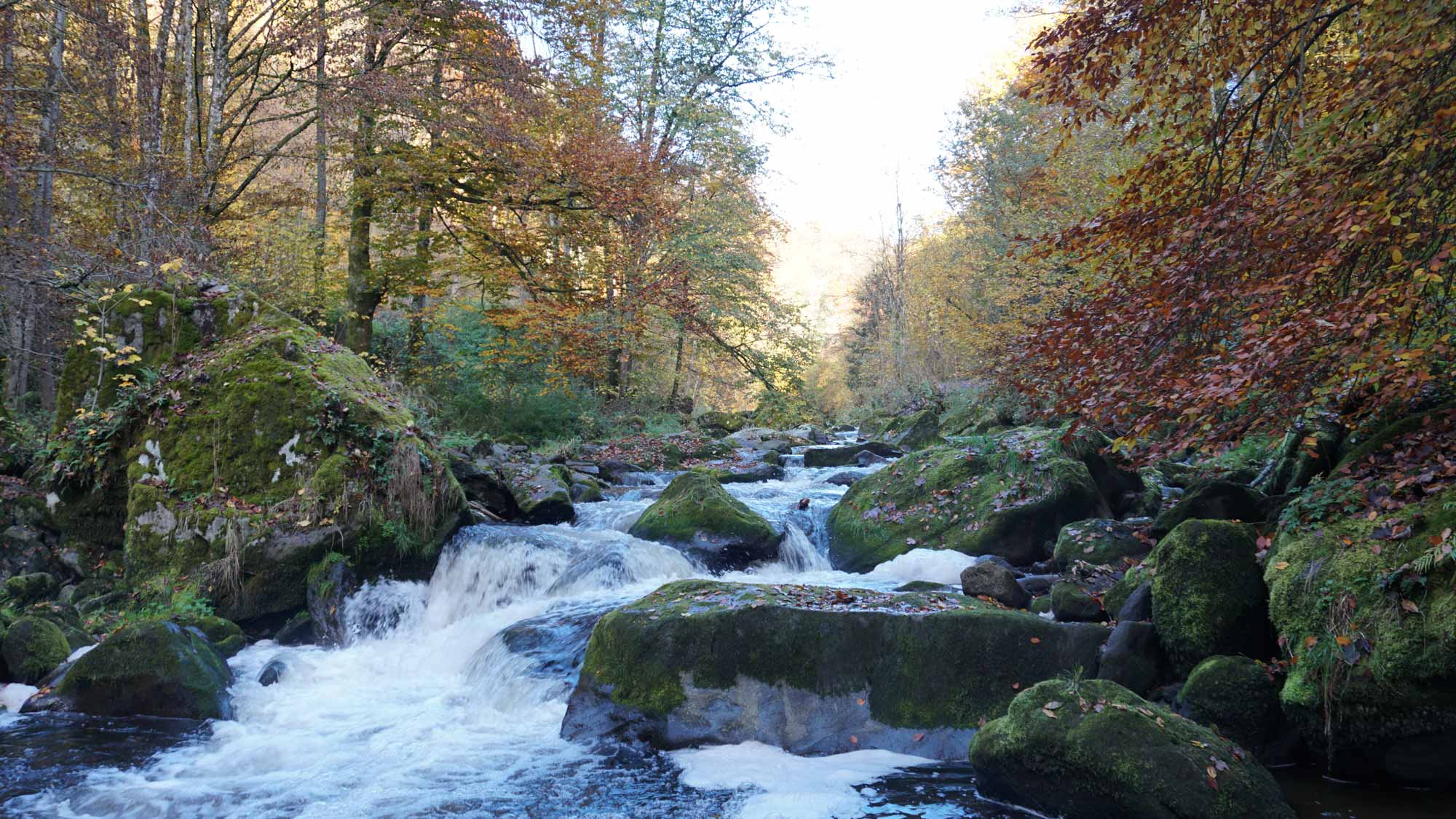 Rodltal-huetten_Rottenegg_Ferienhaus_Naturschutzgebiet