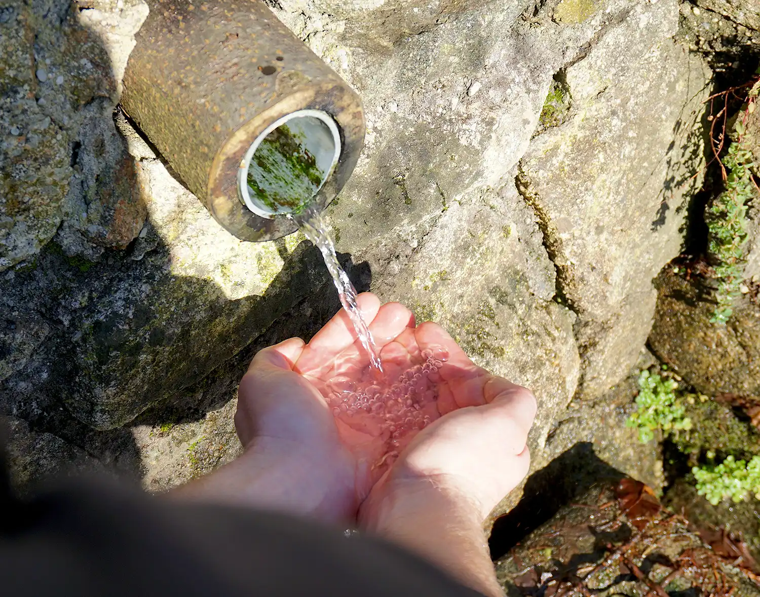 rodltal-huetten_naturschutzgebiet-rodltal_image01