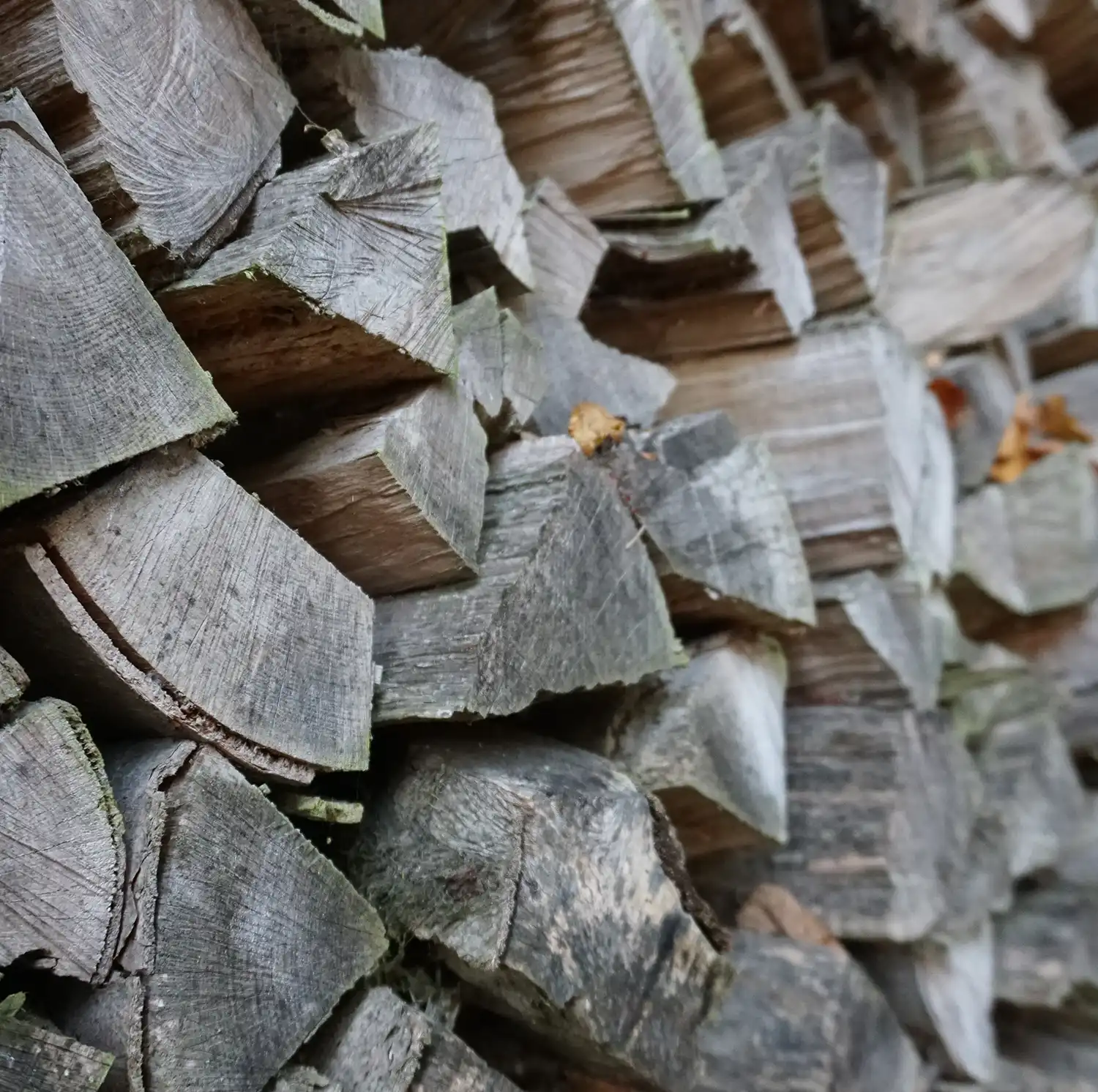 rodltal-huetten_naturschutzgebiet-rodltal_image3